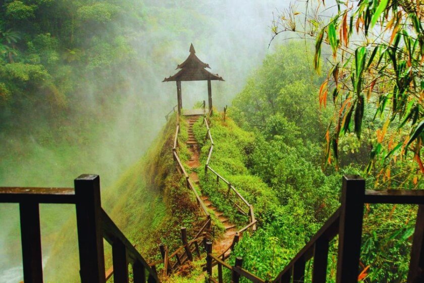 Image gallery